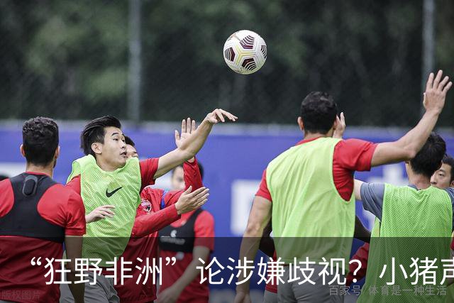 “狂野非洲”论涉嫌歧视？小猪声明否认：我谈论的是足球而非人