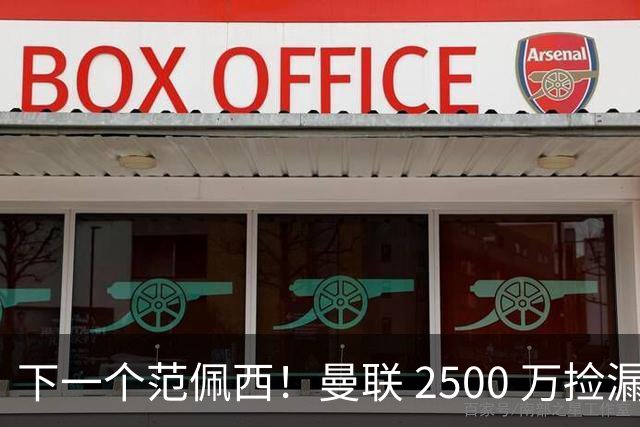 下一个范佩西！曼联 2500 万捡漏顶级锋霸，碾压 7000 万新援