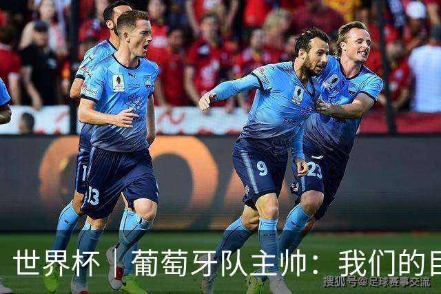 世界杯｜葡萄牙队主帅：我们的目标是打满八场比赛