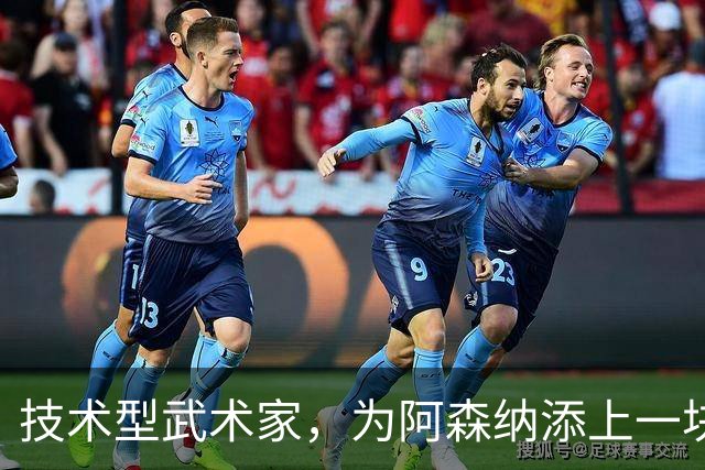 技术型武术家，为阿森纳添上一块拼图