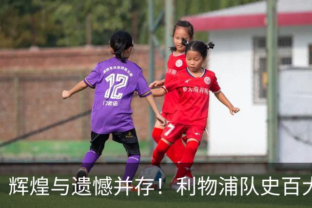 辉煌与遗憾并存！利物浦队史百大球星第44位：托雷斯